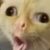 Profile picture of kechupguy1