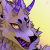 Profile picture of Darkio Racht