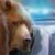 Profile picture of 78J