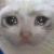 Profile picture of TheRandomGuy