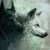 Profile picture of Woflyyhere