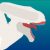 Profile picture of Neoindosaurus01