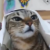 Profile picture of SpinojiraOfficial