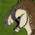 Profile picture of Max2Rex