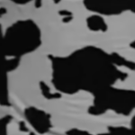 Profile picture of eduardvalea_new