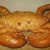 Profile picture of Bread Crab