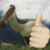Profile picture of Paleofan