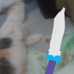 Profile picture of PcboiJordanIsCool