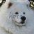 Group logo of Heccing floofers