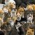 Kitty Cat Group