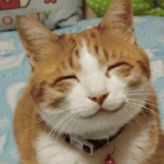 Group logo of Friendly People/Cats On StickNodes.com
