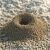 A Group Where We Pretend To Be Ants Apart Of An Ant Colony