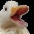 Group logo of goose gang