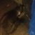 Help Name my Cat