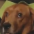 Chills meme group idk