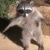 Masked_AF’s group of stuff
