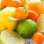 Group logo of The Citrus Masses [ Citrus Databank ] 🚫 [ ᴏᴜᴛᴅᴀᴛᴇᴅ ɢʀᴏᴜᴘ ] 🚫