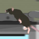 Group logo of (Dead) Catch The Rat Collab