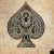 Group logo of A.C.E clan