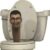 skibidi toilet group