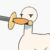 🗞️🦆 – SN Duck News – 🦆🗞️
