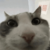 STICKNODES: but you rewrite someone’s post so it seems out of pocket
